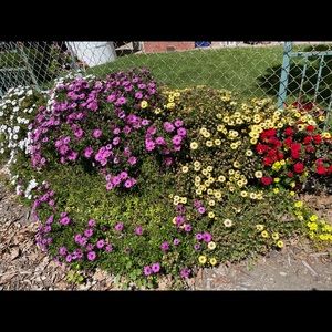 Meet your Posher, Chia-hang